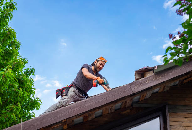 Best Roof Ventilation Installation  in Dyersburg, TN