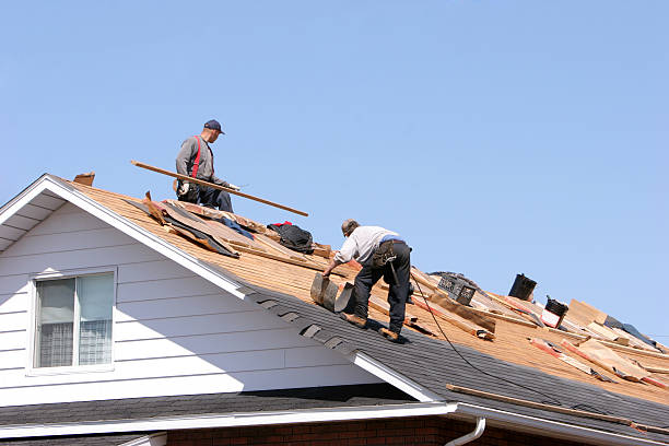 Best Skylight Installation and Repair  in Dyersburg, TN